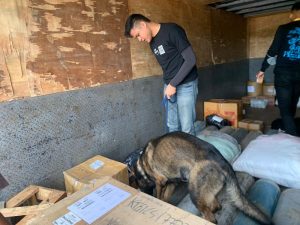 6 Anjing K9 Bantu Lacak Peredaran Narkoba di Pelabuhan Bakauheni, Ini Hasilnya