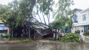 Tertimpa Pohon Tumbang, Pemilik Warung Coto di Jalan Andi Magga Amirullah Terpaksa Tutup