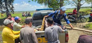 Gerak Cepat Polisi Identifikasi Mayat Tengkurap di Danau