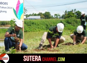 Peduli Lingkungan, PT PLN Nusantara Power UP Sengkang Menanam Pohon di DAS Sungai Cenranae
