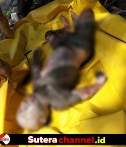Hilang Selama 6 Hari, Mayat Andi Resky Ditemukan Mengambang di Sungai Walennae