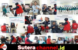 PT PLN NP UP Sengkang Gelar Kegiatan Donor Darah Sebagai Wujud Kepedulian Sosial