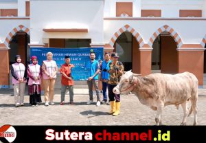 PT PLN Nusantara Power Unit Pembangkitan Sengkang Menyerahkan Bantuan Hewan Qurban Dalam Menyambut Hari Raya Idul Adha 1446H