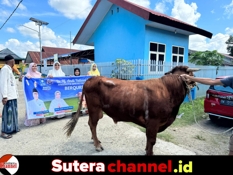 Momen Idul Adha, Andi Yuliani Paris Sembelih 5 Ekor Sapi di Kabupaten Wajo