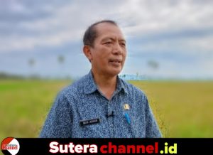 Mendadak Mundur, Kadis Pertanian Wajo Tinggalkan Jabatan Tanpa Alasan Jelas