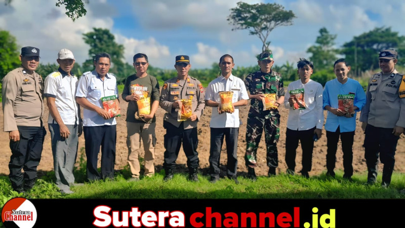 Lahan Tidur 7 Tahun Disulap Jadi Kebun Jagung, Bhabinkamtibmas Penggerak Utama